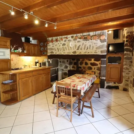 Maison Chaleureuse Au Coeur Des Volcans D'auvergne, Proche Super-lioran, 4 Pers, Avec Garage Et Terrasse - Fr-1-742-74