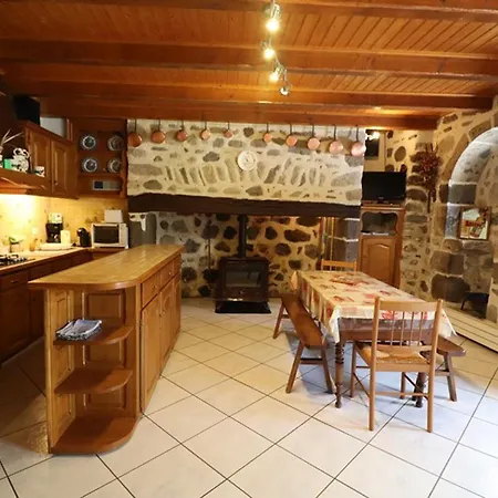 別荘 Maison Chaleureuse Au Coeur Des Volcans D'auvergne, Proche Super-lioran, 4 Pers, Avec Garage Et Terrasse - Fr-1-742-74 *